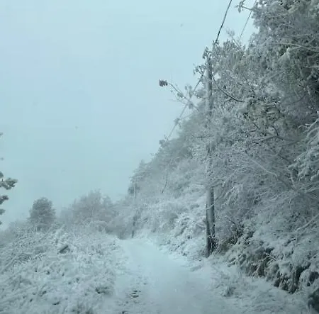 бунгало, българия Campsite
